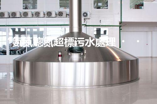 “氨氮總氮超標污水處理，綠色技術(shù)助力環(huán)保新篇章”